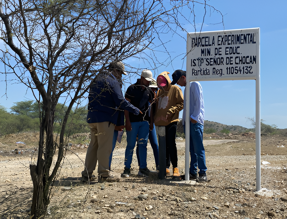 Ciclo 6
